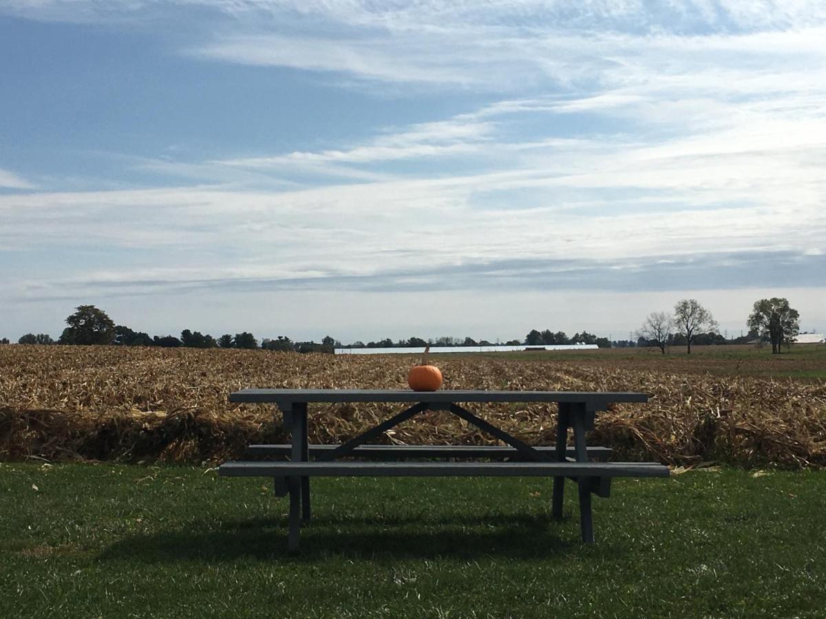 Hertzog Homestead Bed & Breakfast エフラタ エクステリア 写真